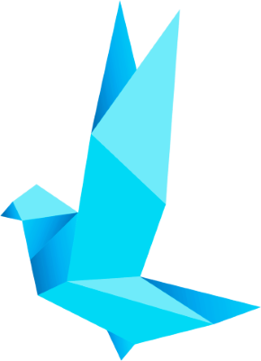 Bird Animation